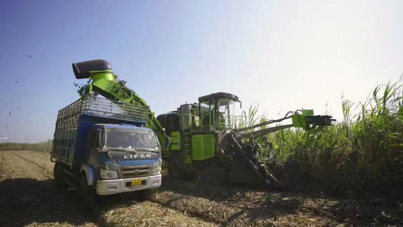 老子有钱lzyq88(中国)有限公司