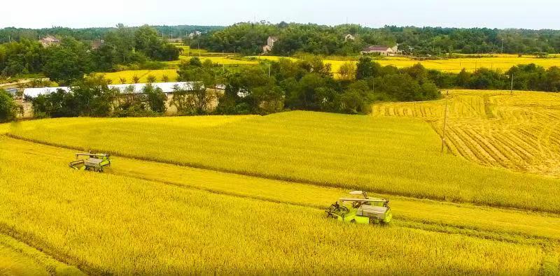 老子有钱lzyq88(中国)有限公司