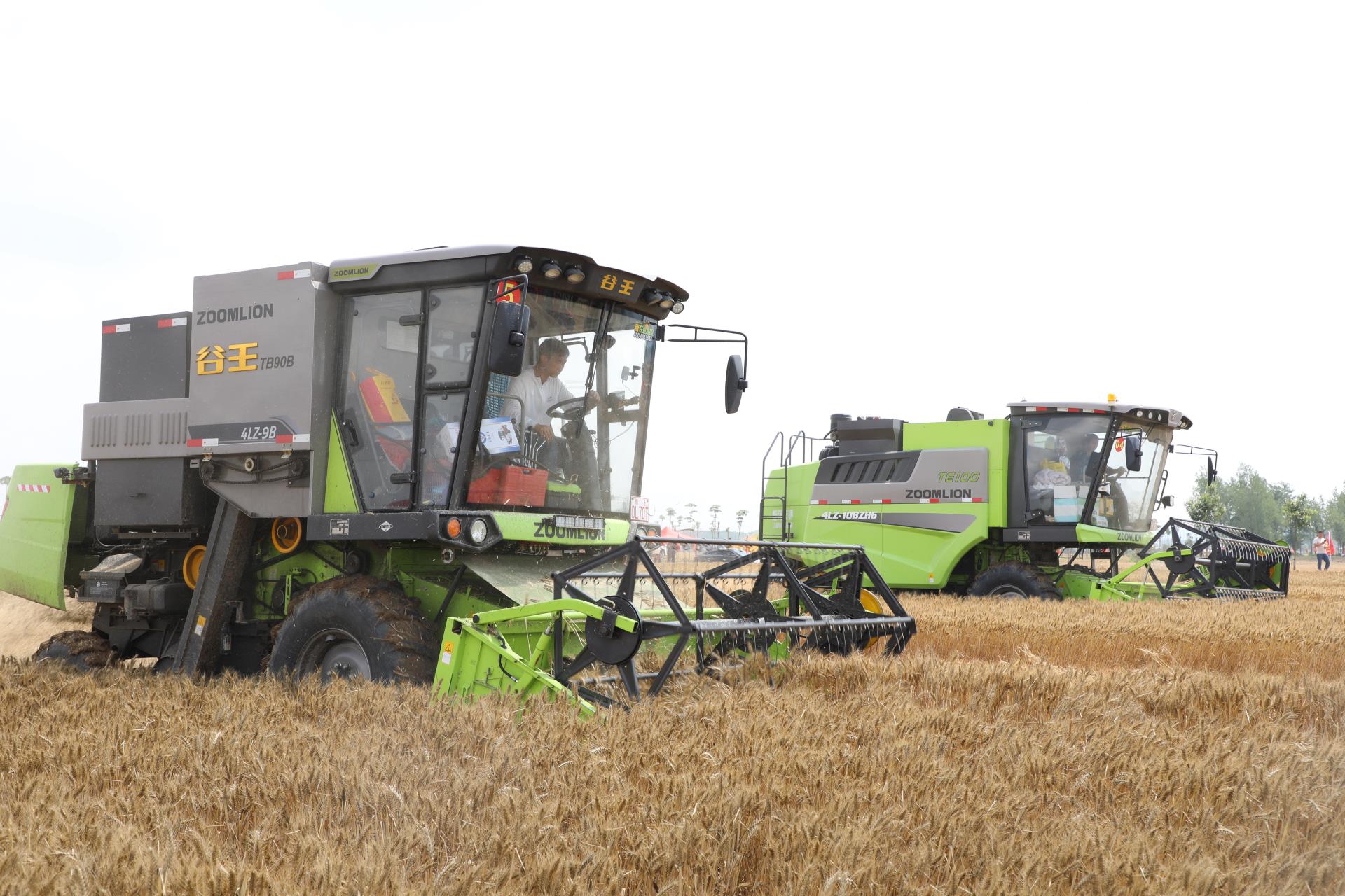 老子有钱lzyq88(中国)有限公司